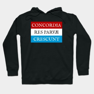 Concordia res parvae crescunt Hoodie